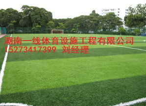 益阳安化县足球场人造草铺贴 专业施工单位湖南一线体育设施工程