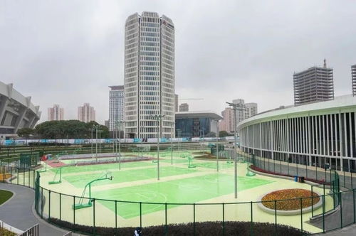 徐家汇体育公园 上海自行车馆 上海久事国际马术中心 上海这三个重大体育设施将于年内竣工